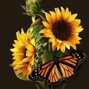 Meet your Posher, Denise